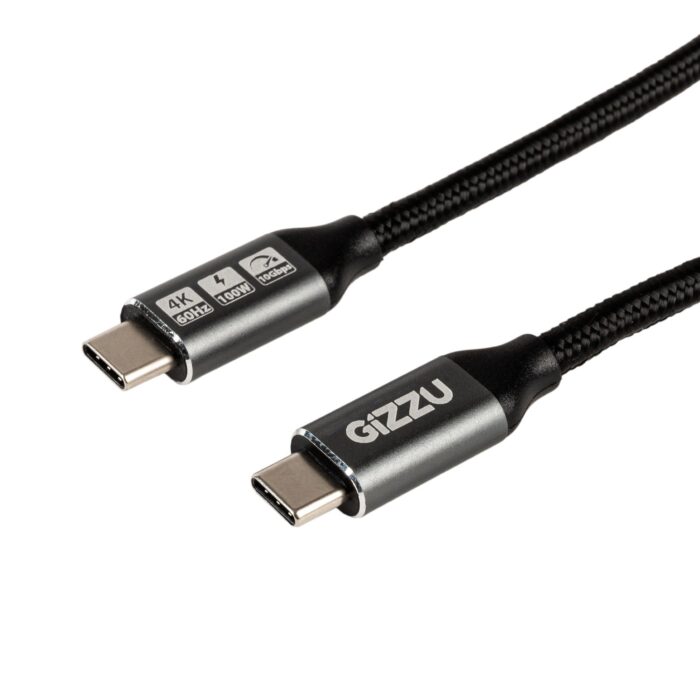 GIZZU 100W 10Gbps Type-C 1m Cable - Image 2